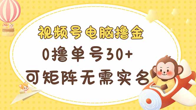 （14220期）视频号电脑撸金 0撸单号30+ 可矩阵 无需实名多号多得-网创终点站