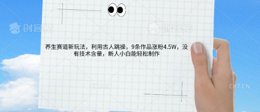 AI养生赛道新玩法，10条作品涨粉5.2W，操作简单，新人小白能轻松制作-网创终点站