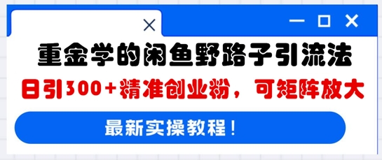 重金学的闲鱼野路子引流法，日引300+精准创业粉，可矩阵放大-网创终点站