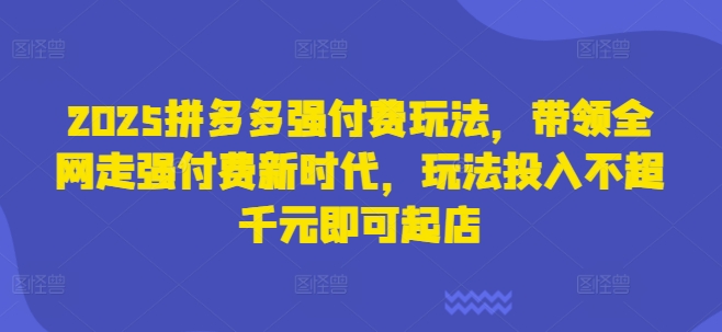 2025拼多多强付费玩法,带领全网走强付费新时代,玩法投入不超千元即可起店-网创终点站