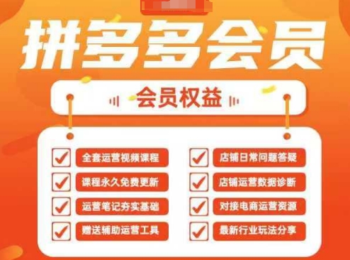2025拼多多运营实战课，40节全流程教学，覆盖拼多多运营全链路-网创终点站