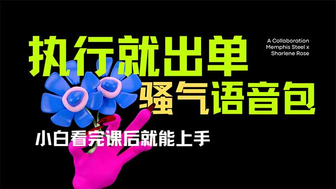 （14170期）爆火全网的开车导航骚气语音包,只要执行就出单，小白看完课程就能实操...-网创终点站