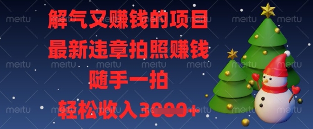 解气又挣钱的项目，最新违章拍照挣钱，随手一拍，轻松收入数张【揭秘】-网创终点站